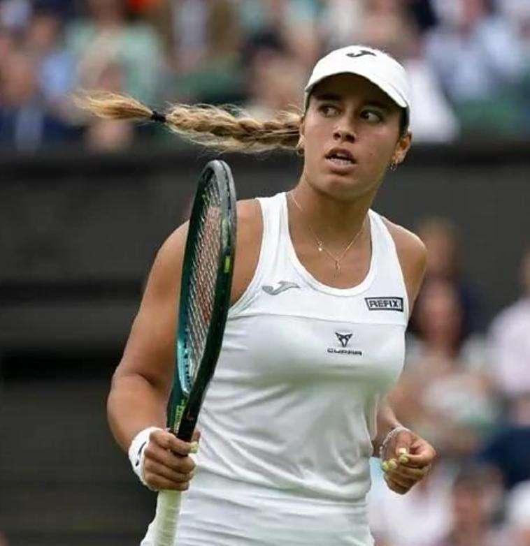 败涂地, 其所了, 号种子玛丽 败涂地, 其所了, 号种子玛丽