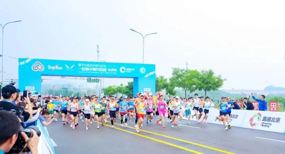 同于春日桃 同于春日桃